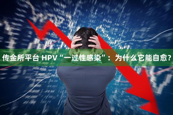 传金所平台 HPV“一过性感染”：为什么它能自愈？