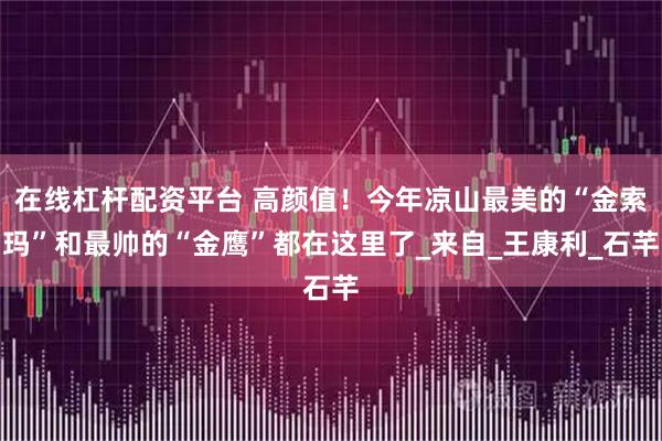 在线杠杆配资平台 高颜值！今年凉山最美的“金索玛”和最帅的“金鹰”都在这里了_来自_王康利_石芊